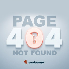 صفحه 404 و روبرویی با ارور 404